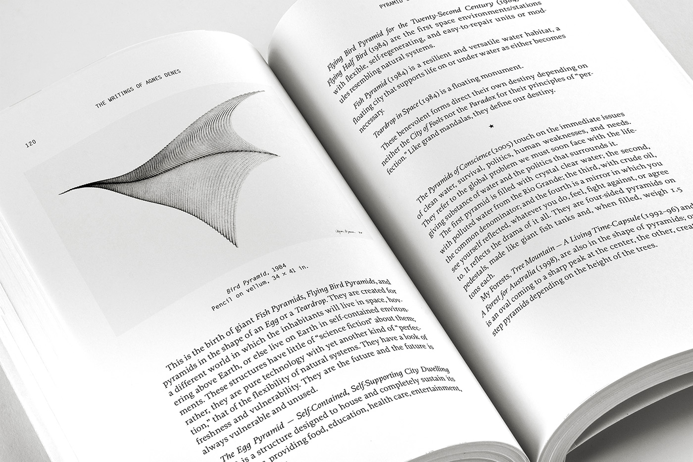 The Human Argument spread